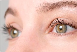 Eyelash Hair Transplant